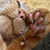 1654.gif
